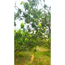 Untitled (500 x 500 px) (15).webp