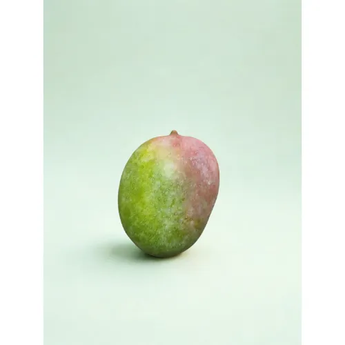Untitled (500 x 500 px) (19).webp