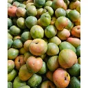 Rumani Mango 1.webp