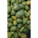 Neelam Image 1.webp