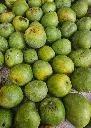 Malgova Image - 2.webp