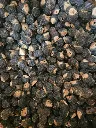 cover image 1.webp