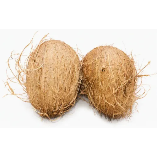 coconut media image 1 (500 x 500 px) (26).webp