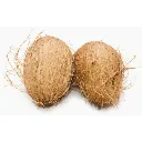 coconut media image 1 (500 x 500 px) (26).webp