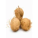 coconut media image 2 (500 x 500 px) (26).webp