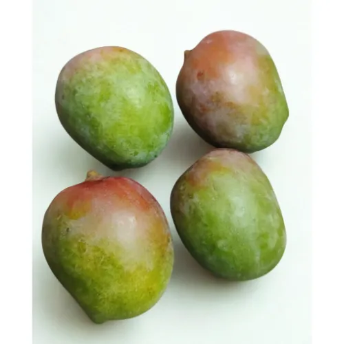 Sindura Mango - 1 k.g (MOQ - 10 k.g)