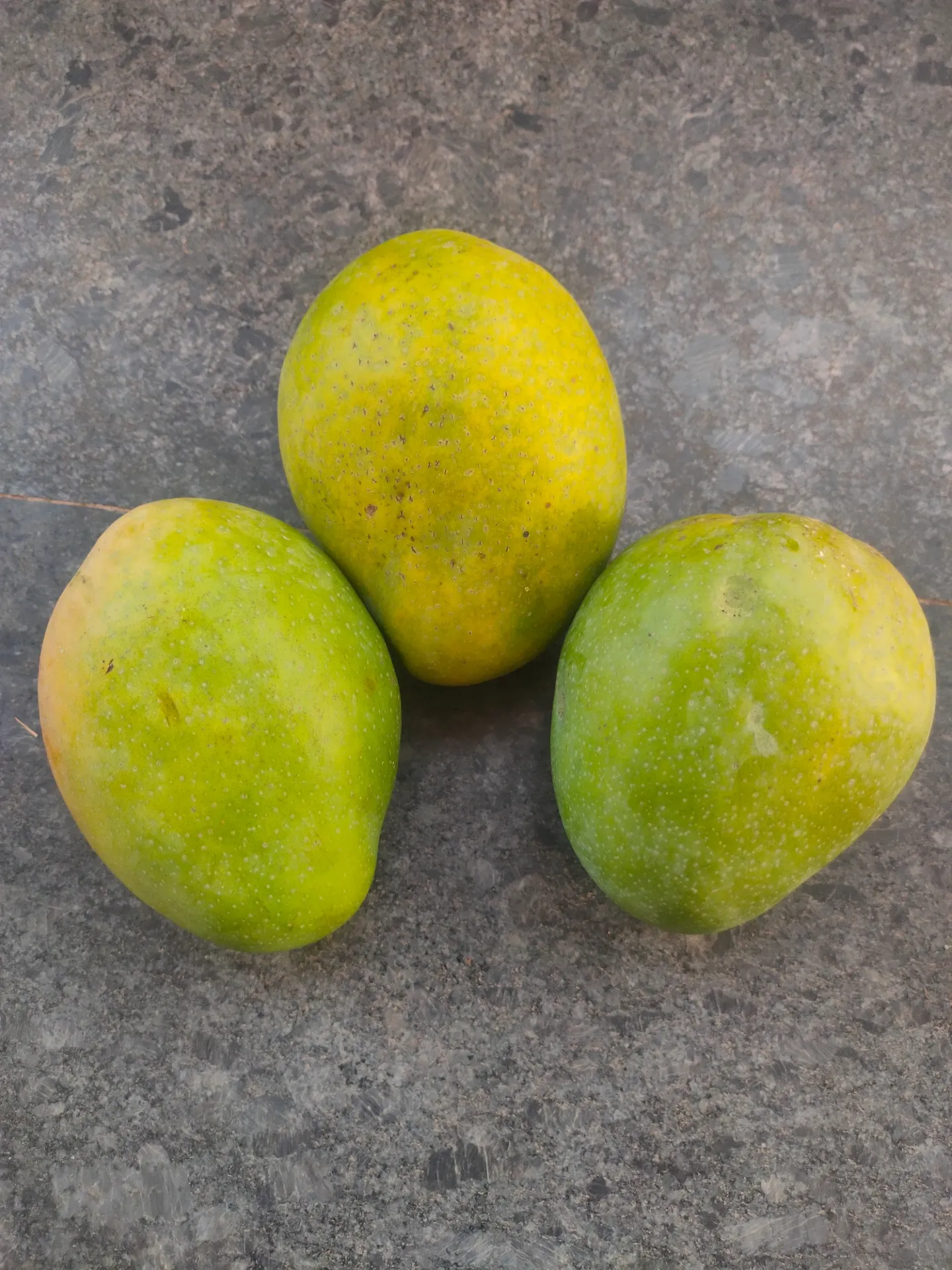 BanginaPalli Mango