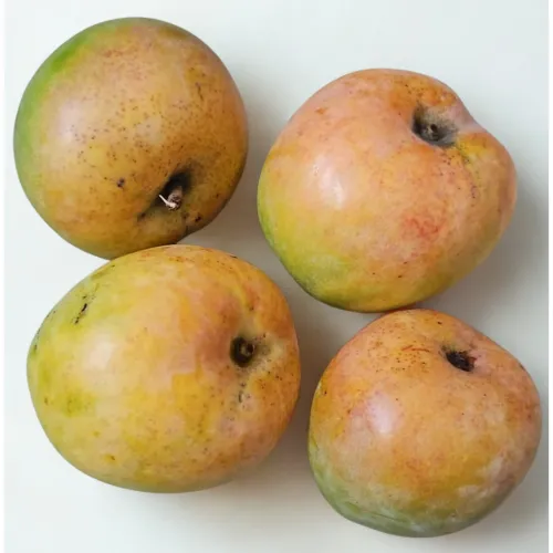 Naturally Grown Rumani Mango - 1 k.g