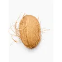 coconut - 1pc