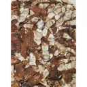 Natural / Organic Seedless Tamarind - 500 Grams